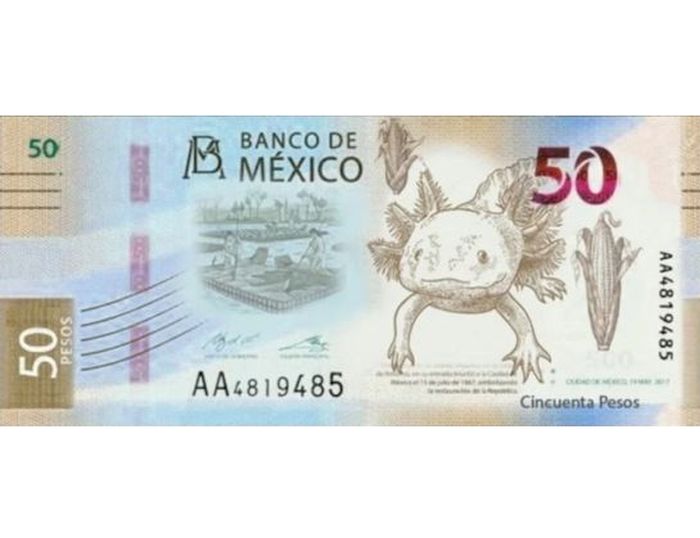 ¡Se van Juárez y Morelos! Así serían los nuevos billetes de 20 y 50 pesos