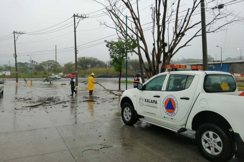En Xalapa, sistema municipal de Protección Civil preparada para llegada de ‘Grace’