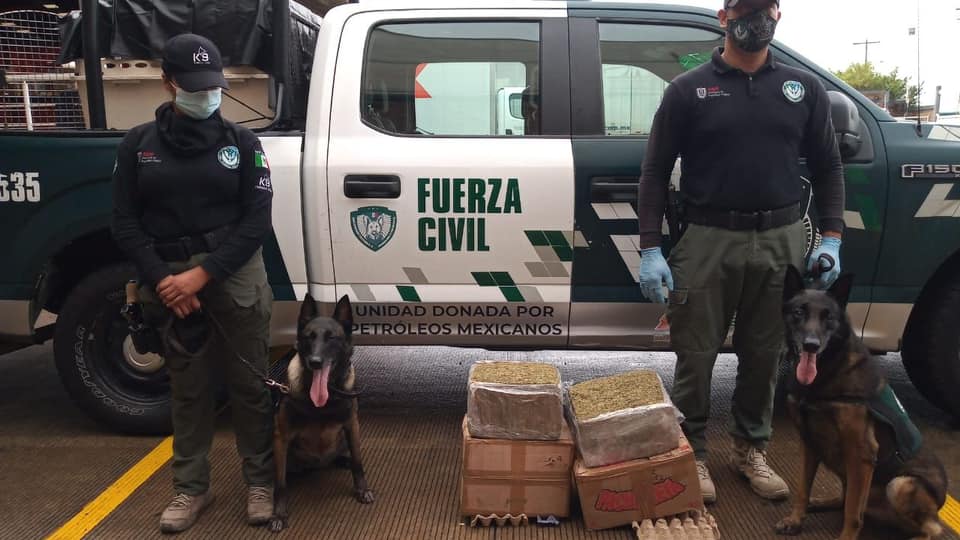 Decomisa SSP tres paquetes con droga, en Banderilla y Veracruz