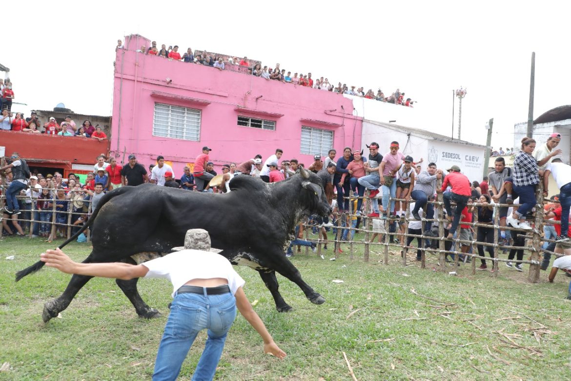 Para las fiestas de Tlacotalpan, multa de 25 mil pesos a quien maltrate a los toros