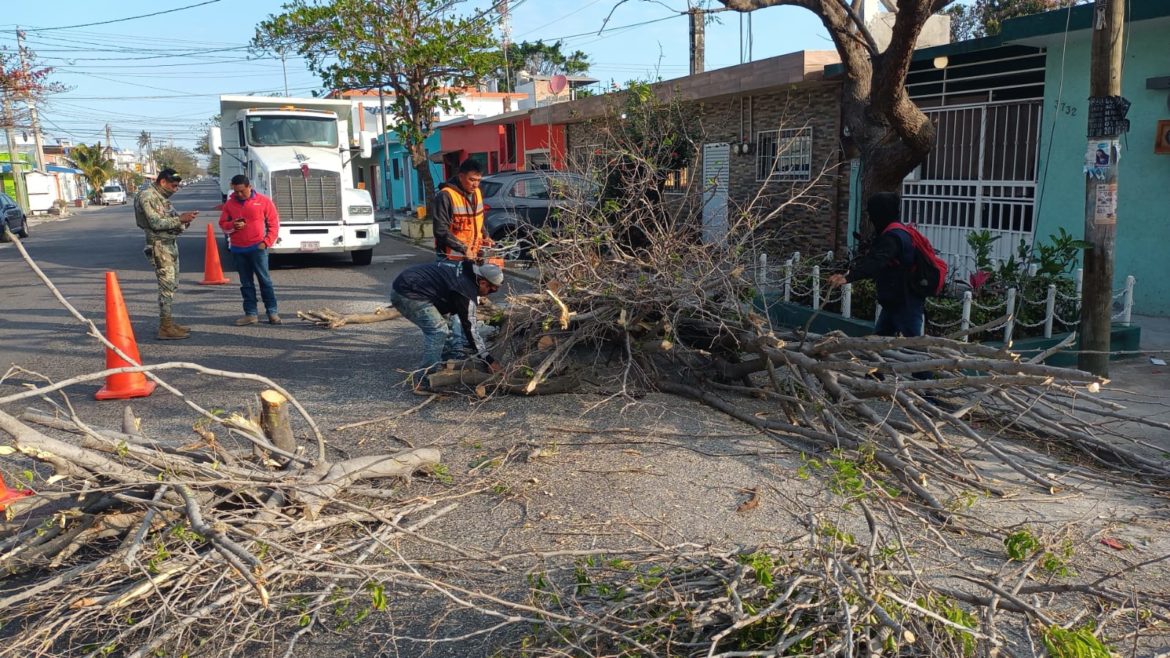 28 municipios de Veracruz afectados tras paso de Frente Frío 35