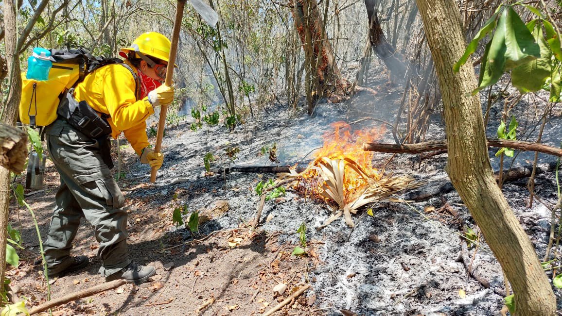 ¡A tomar precauciones! Riesgos de incendios en Veracruz
