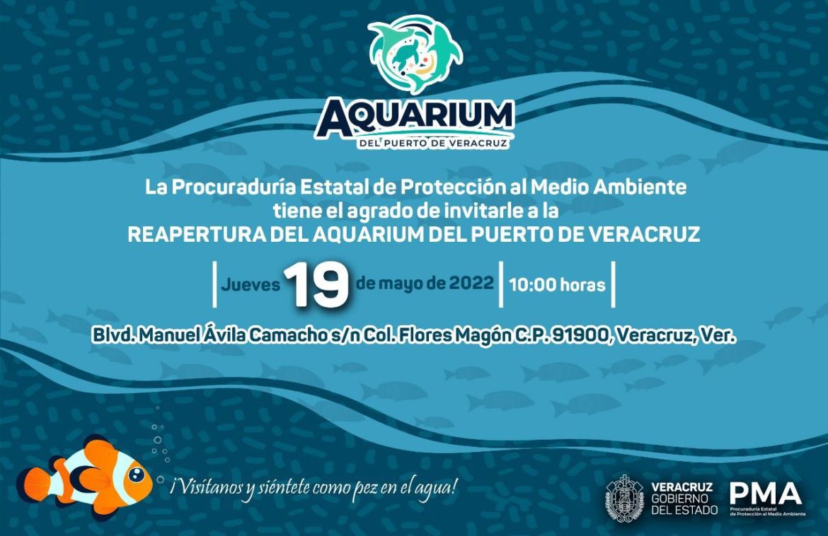 Hoy abre el «Aquarium del Puerto de Veracruz»