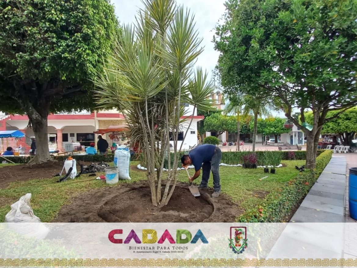 Realizan labores de rehabilitación en bulevar y parque 18 de Junio en Ángel R. Cabada