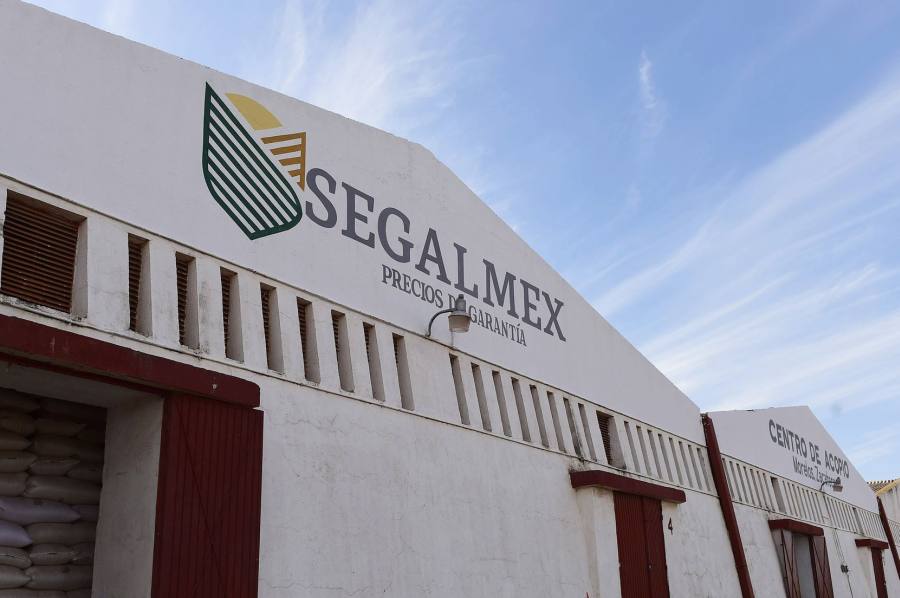Investiga FGR probable daño patrimonial a Segalmex por 9 mil 500 millones de pesos