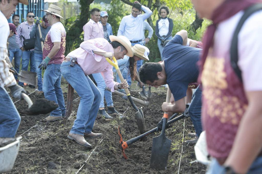 Cuitláhuac realiza tequios agrícolas por programa “Todos a Sembrar”