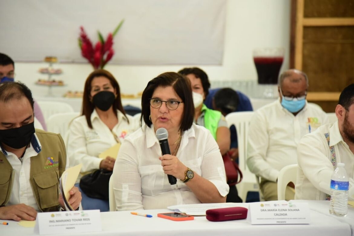Preside María Elena Solana Calzada, Décima Reunión de la Red Veracruzana de Municipios por la Salud