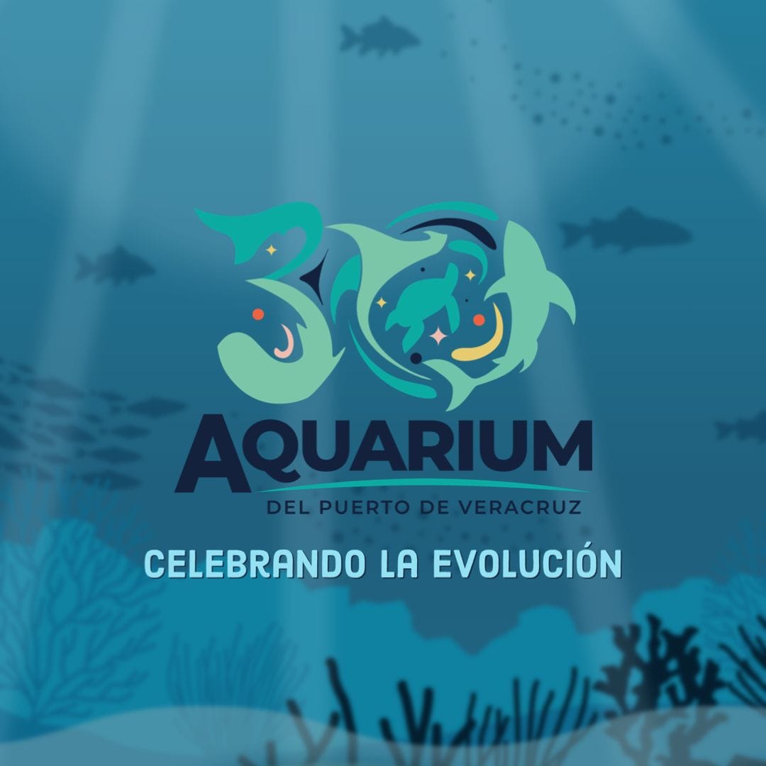 Se prepara el Aquarium de Veracruz para su 30 aniversario