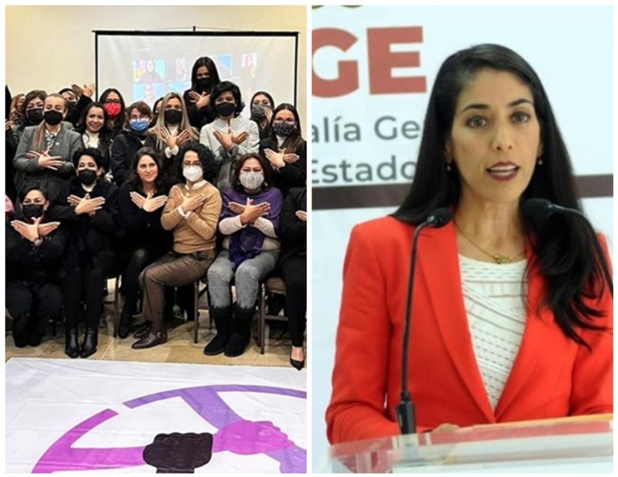 Posicionamiento Red Nacional de Mujeres capítulo Veracruz, respecto al lamentable Caso Rosa Icela.
