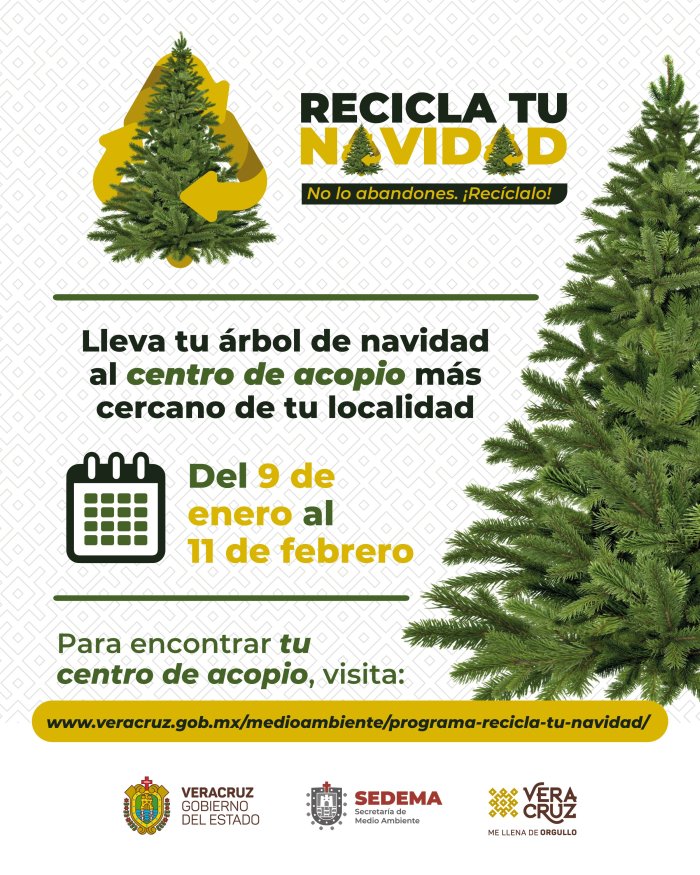 Gobierno del Estado aplicará campaña «Recicla tu Navidad» del 9 de Enero al 11 de Febrero