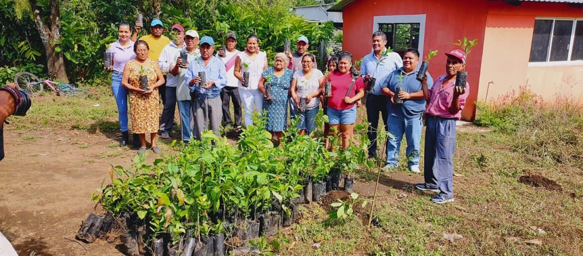 Donan árboles frutales y maderables en localidad de Santiago Tuxtla
