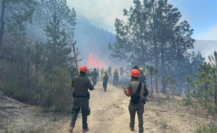 Por ola de calor, reportan dos incendios en la región de Perote