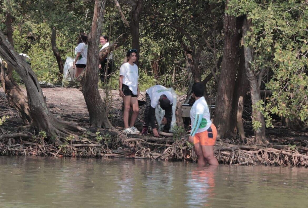 Encabeza la PMA limpieza de manglares en Laguna de Mandinga