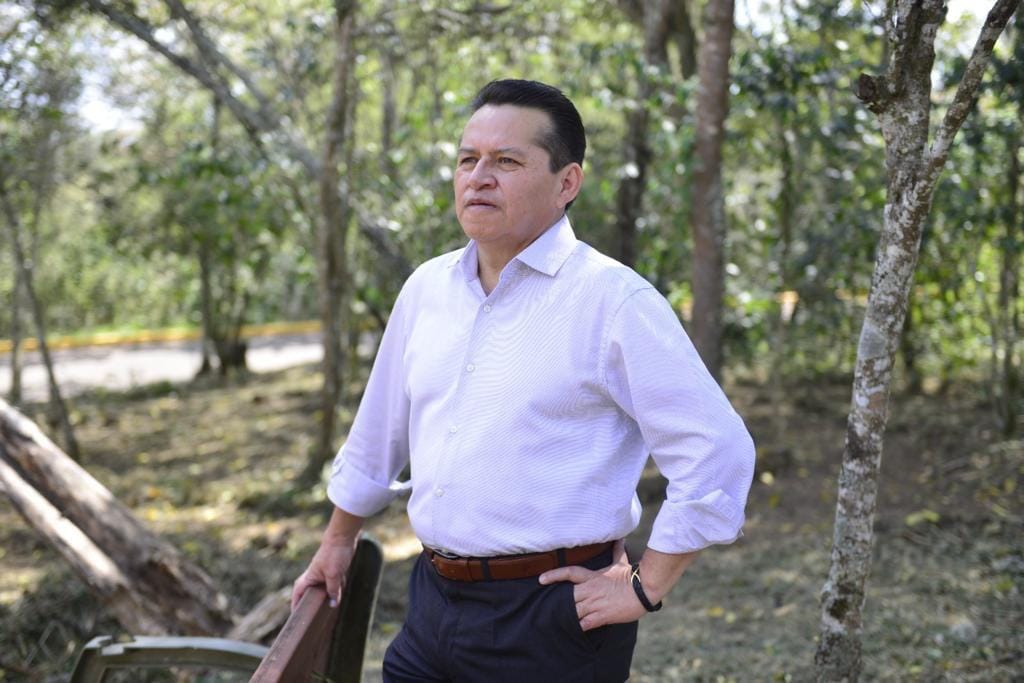 Ante la tala ilegal de árboles, PRD estatal exige un alto a la barbarie ecológica en Xalapa
