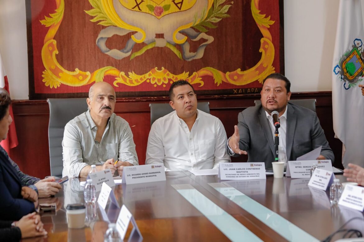 Anuncia PMA «Ambientón» para la región de Xalapa