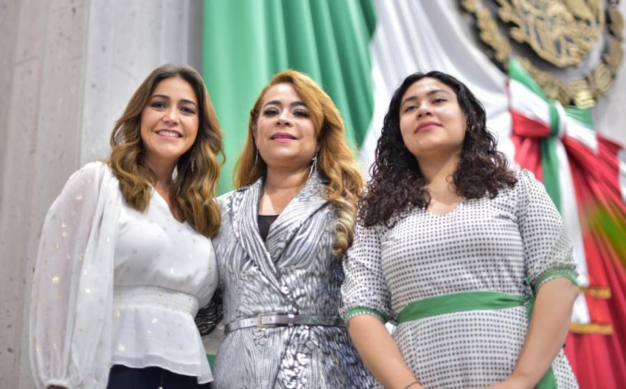 Crean en el Congreso el grupo legislativo mixto Por Amor a Veracruz Verde