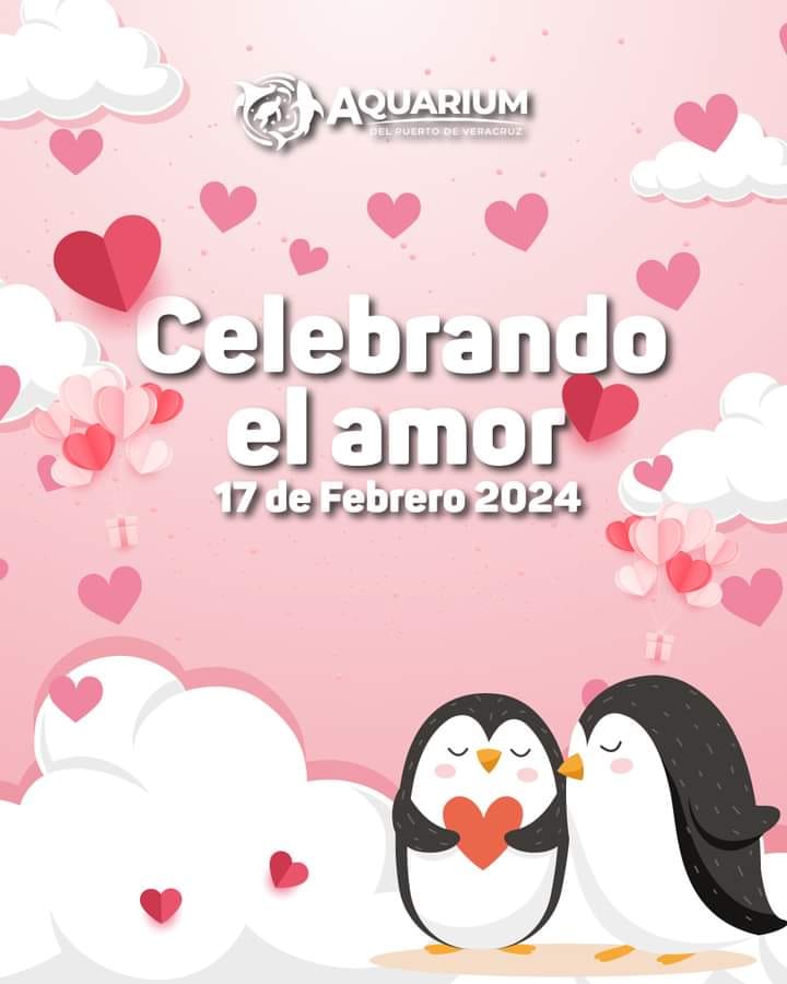 ¡Y de a grapas! Bodas colectivas en el Aquarium de Veracruz para celebrar el Día del Amor
