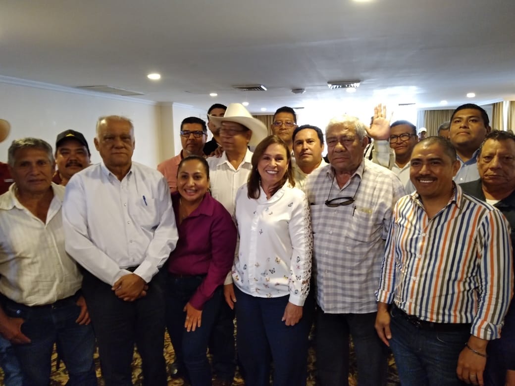 Rocío Nahle se reúne con productores de piña del estado