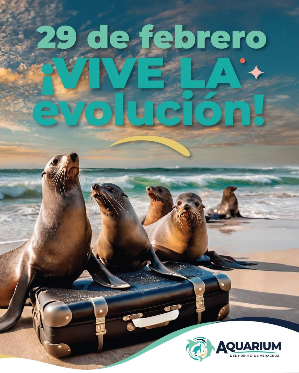 El 29 de febrero llegan los lobos marinos, nueva atracción del Aquarium Veracruz