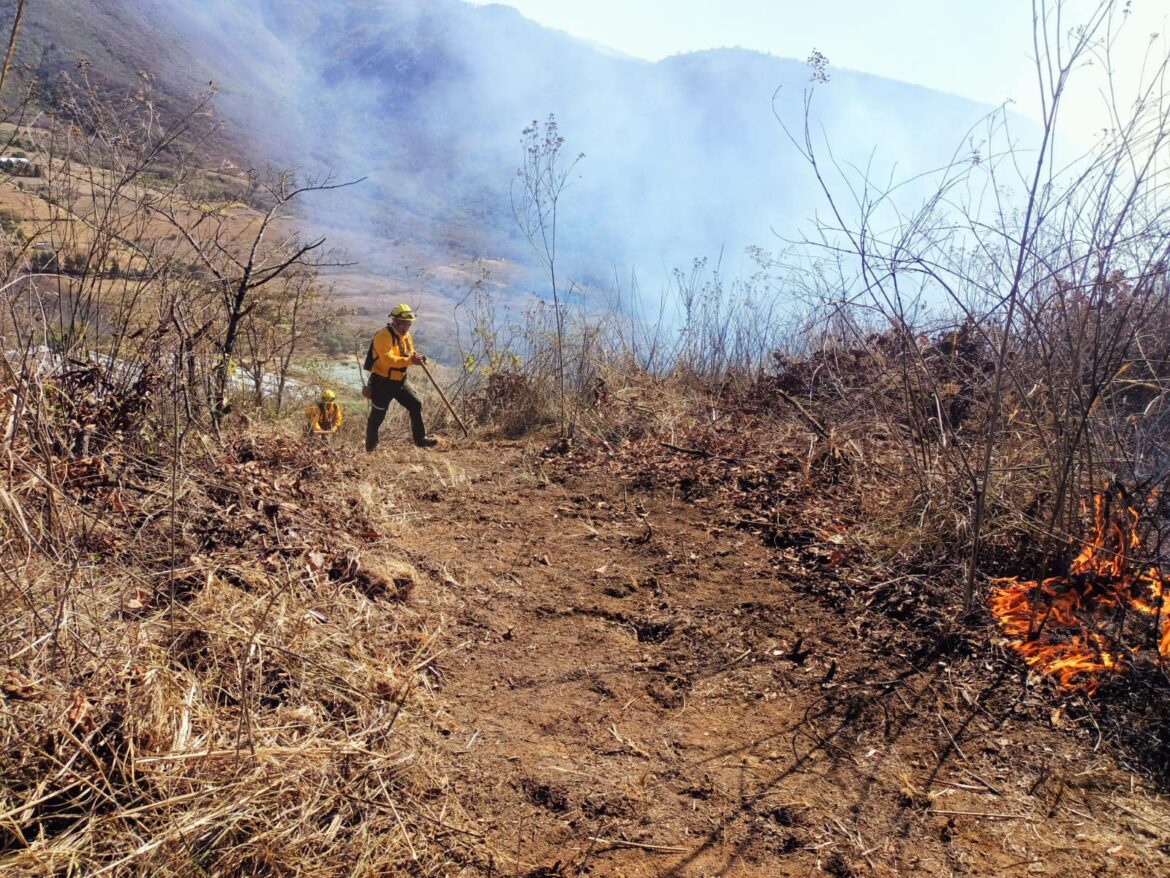 Se mantiene la atención coordinada a los incendios forestales activos en el estado