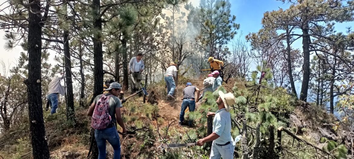 Brigadas de los 3 órdenes de gobierno y voluntarios atienden incendio forestal en Xico